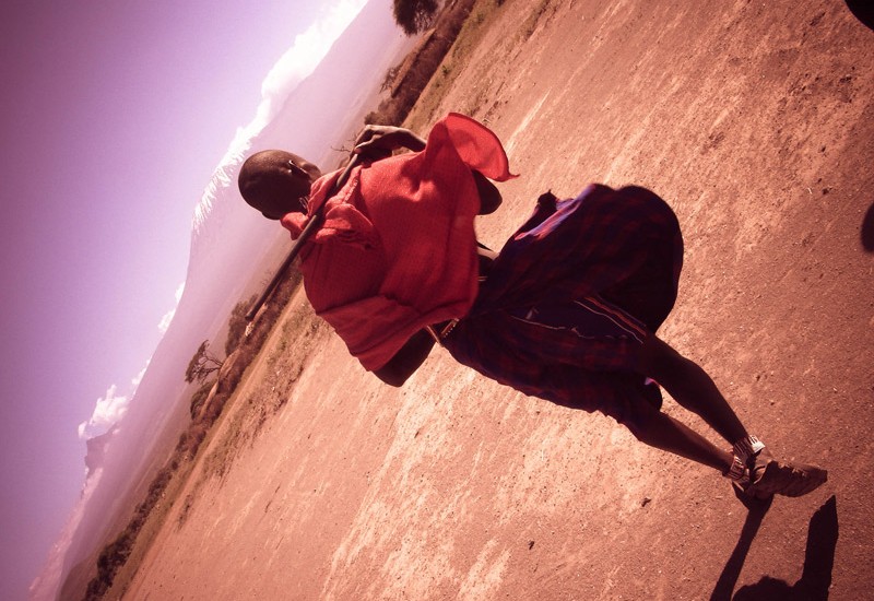 Fierté masaï d’Amboseli I