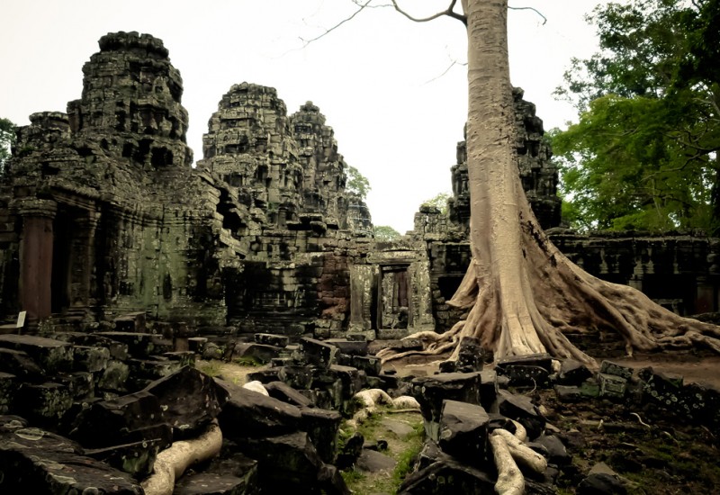 Les racines de Banteay Kdei