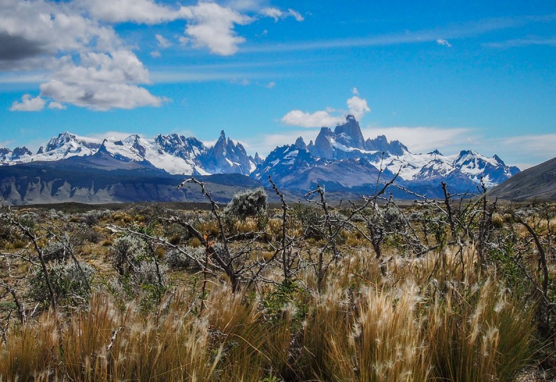 Pampa de Patagonie